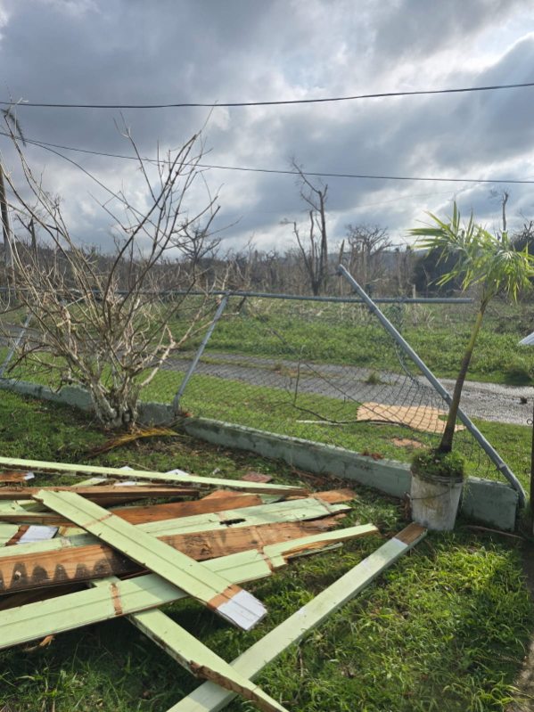 894068049 mms 894068787 1769018998811