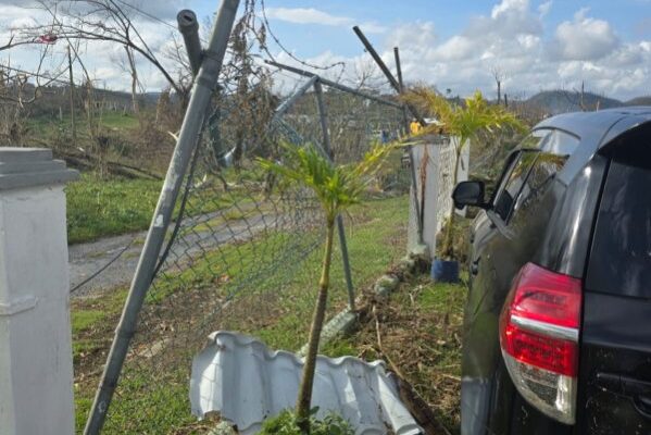 894068049-mms-894068787-1769018999540